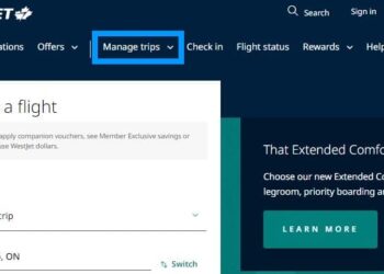 How to manage your plane ticket reservation: info to fill in, seat ...